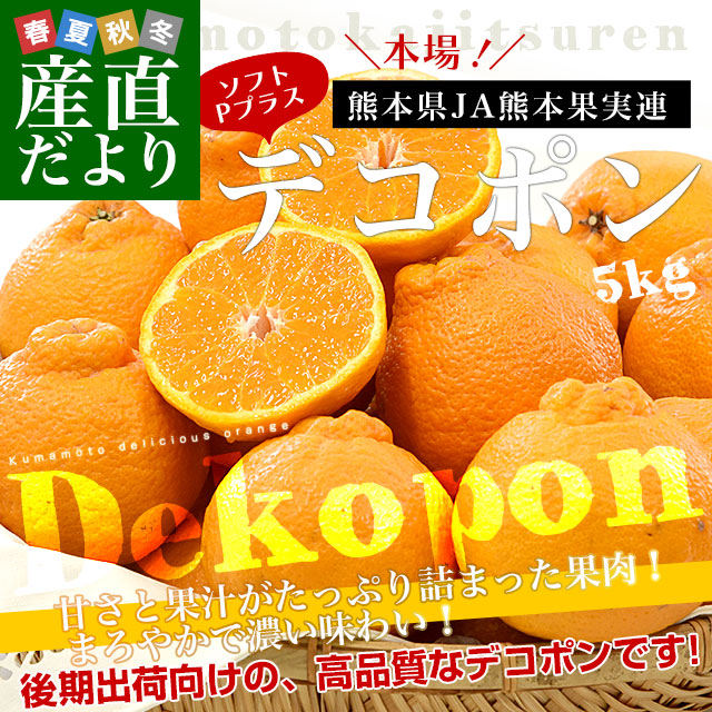 熊本県 JA熊本果実連 デコポン 4Lから2Lサイズ 約5キロ(15玉から20玉
