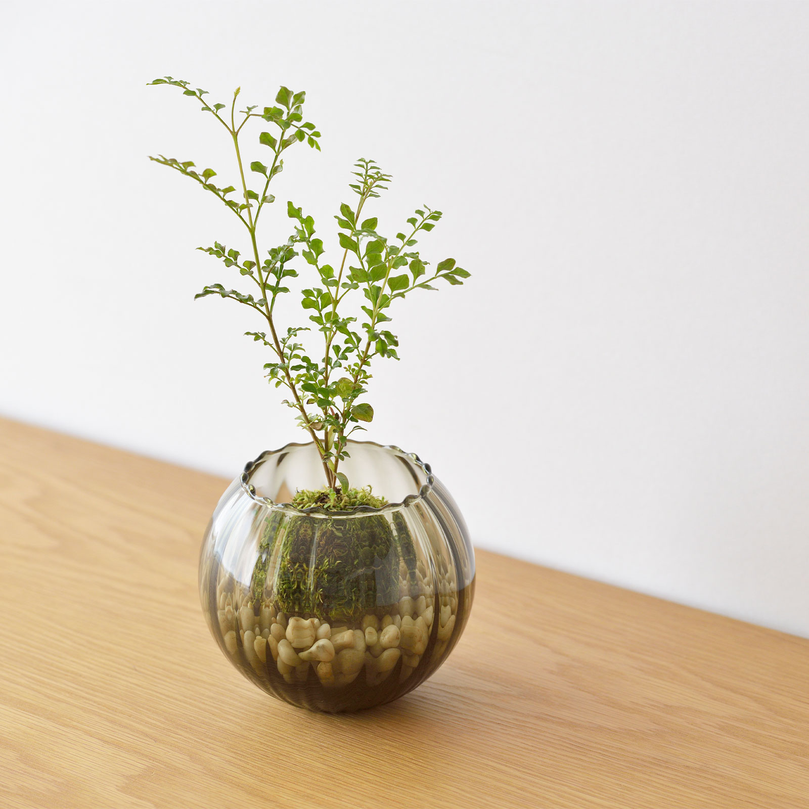 パフ：モールボール花器 (S) | 花器 | Sghr