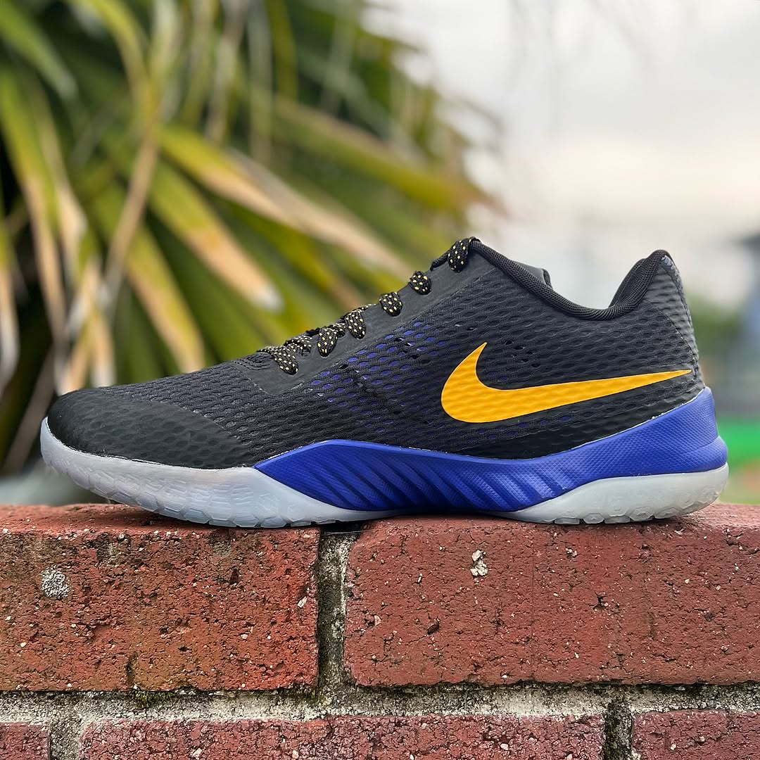 NIKE HYPERLIVE PE 'ANDRE IGUODALA' ナイキ ハイパーライブ アンドレ