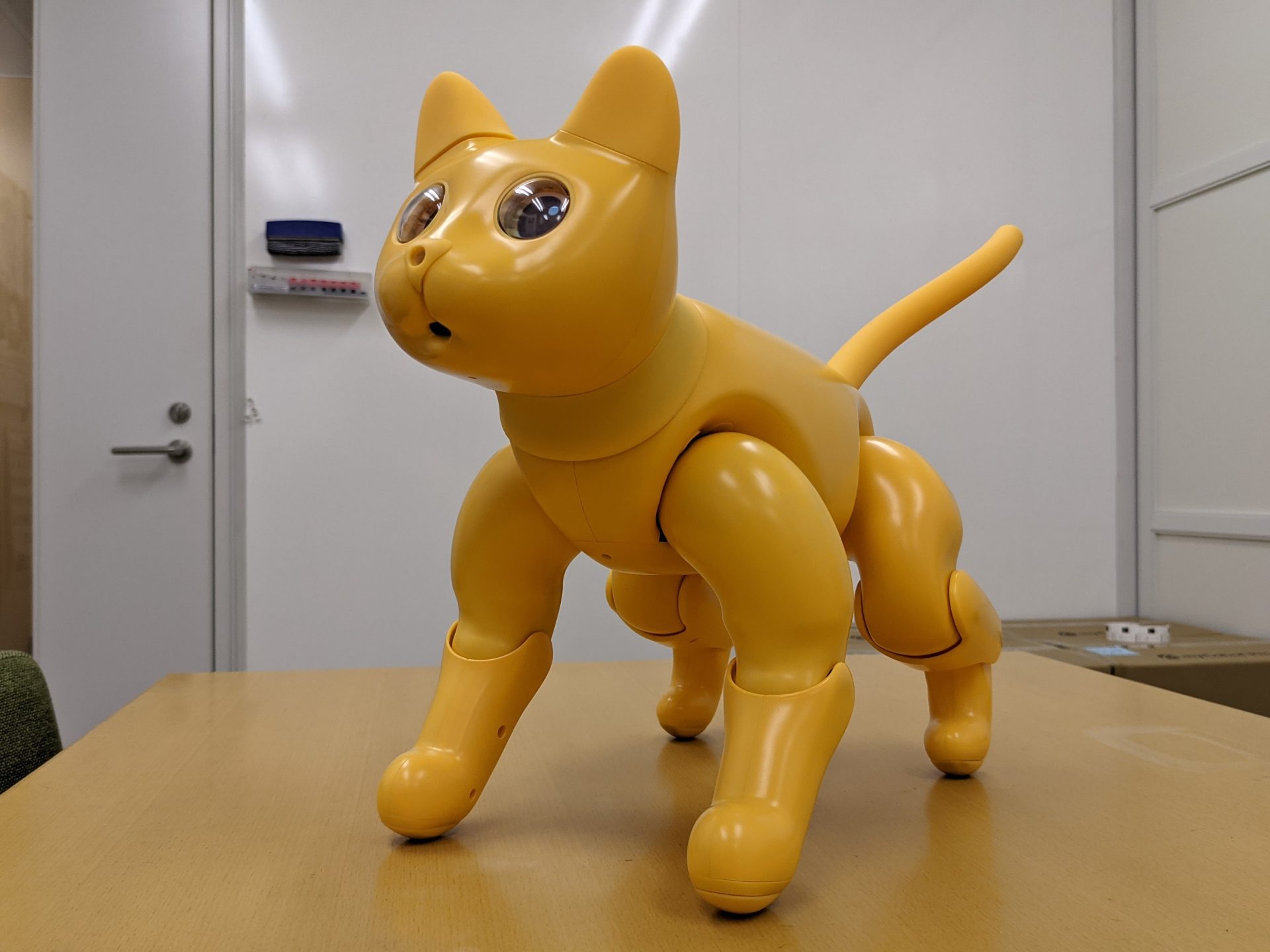 myCobotの会社が作ったネコ型ロボット – MarsCatのご紹介！ – スイッチ