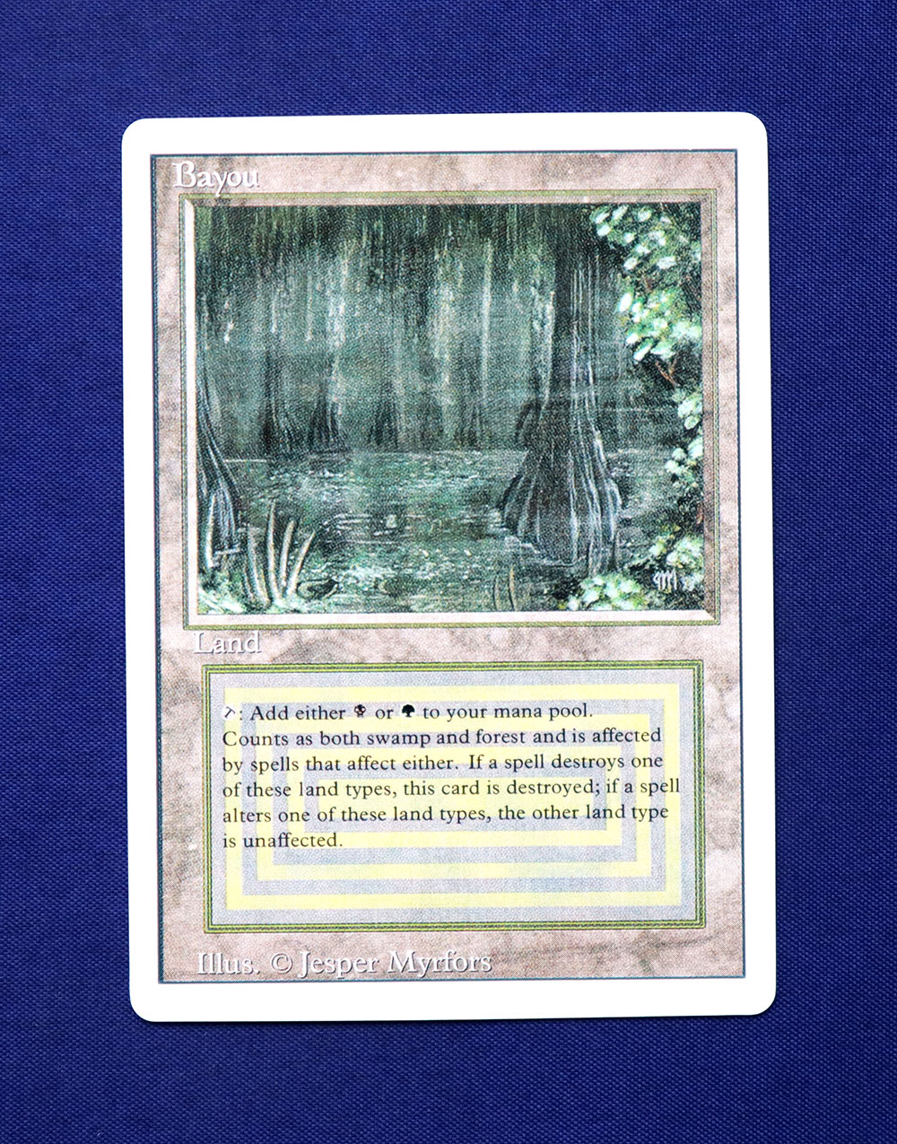 myday公式アカウント01 Bayou MTG 3ED 英語版 myday公式アカウント01