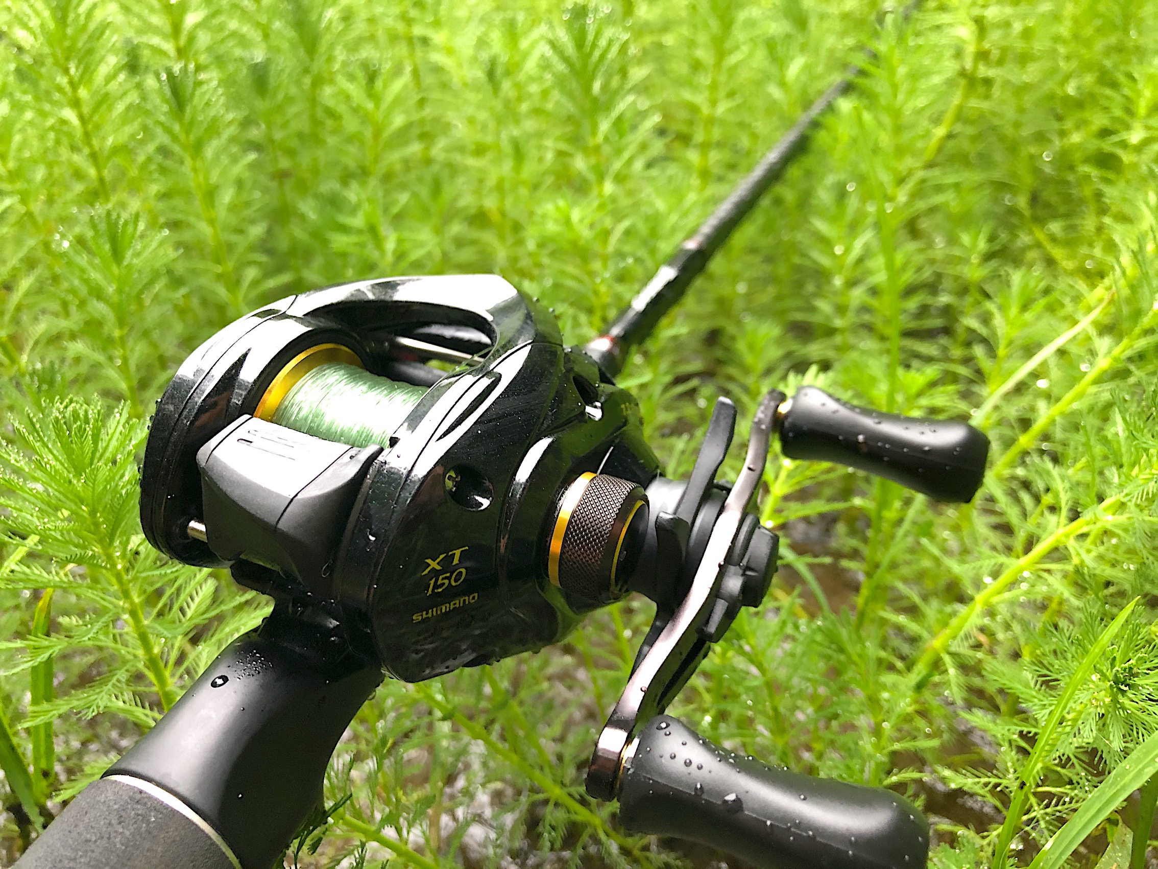 1年半使用インプレ】シマノ「ゾディアス166M」、便利すぎて手放せない