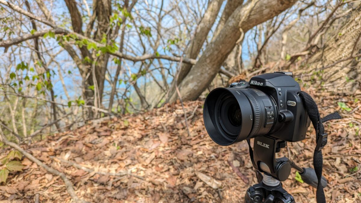 Nikon D40X＋AF-S DX NIKKOR 35mm f/1.8G】開放で春の山野草を撮って