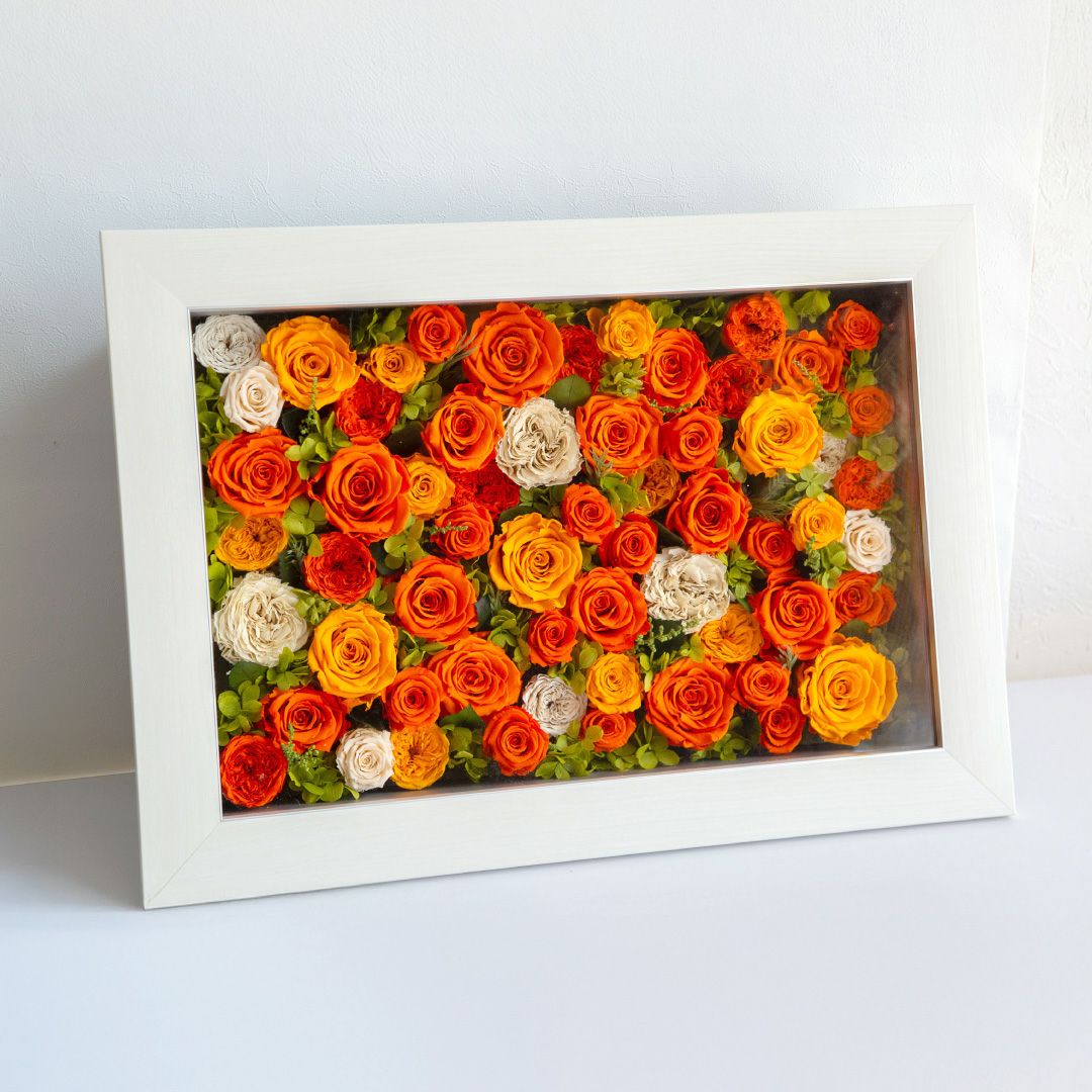 パナッシュ(W52-H37)/オレンジ60本 (プリザーブドフラワー) | 最高級