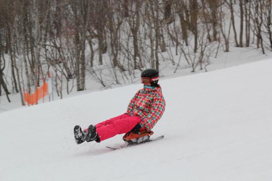 アクティビティ】スキー・ポッカール - Picture of Minakami Kogen