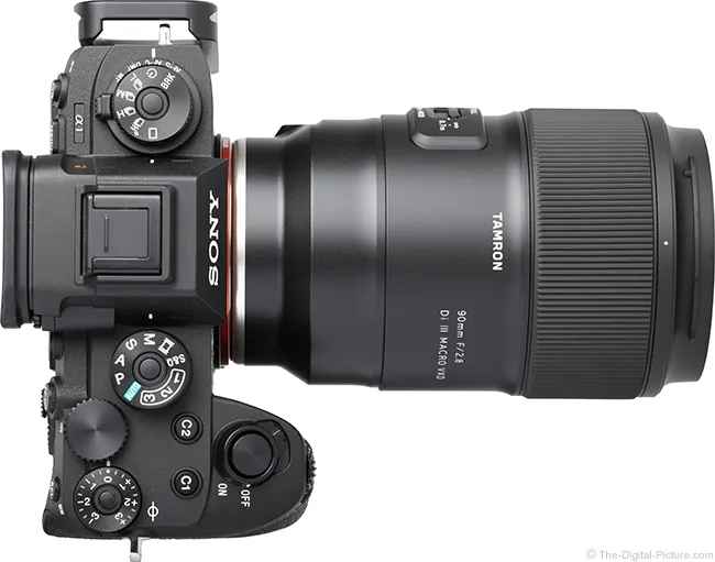 Tamron 90mm F/2.8 Di III Macro VXD Lens Review