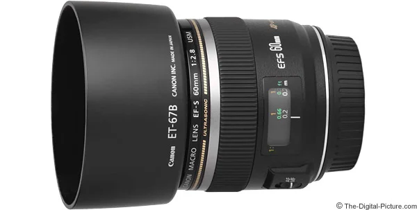 Canon EF-S 60mm f/2.8 Macro USM Lens Review
