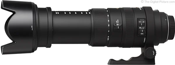 Sigma 50-500mm f/4.5-6.3 APO DG OS HSM Lens Review