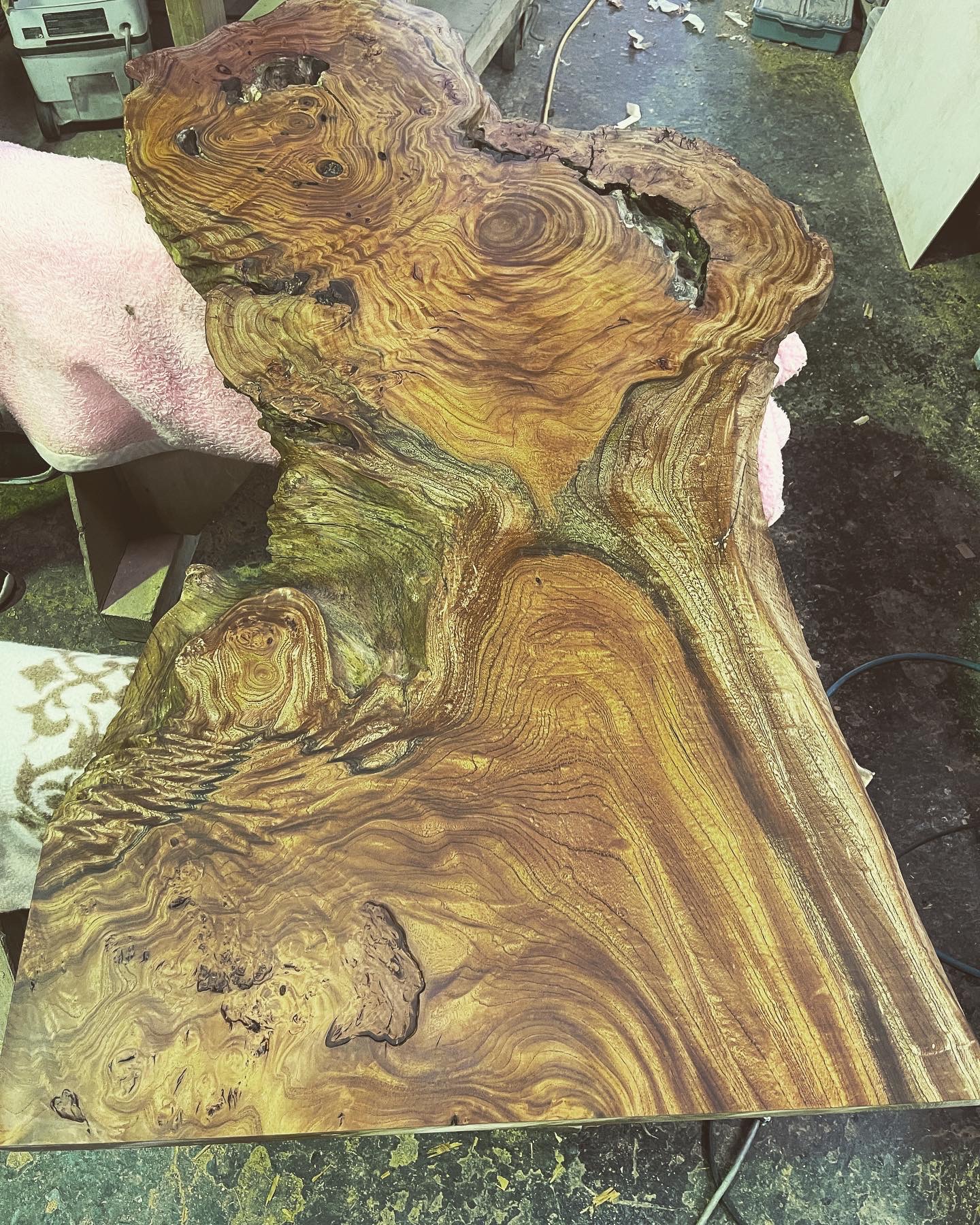 ケヤキ衝立 – 野瀬銘木店