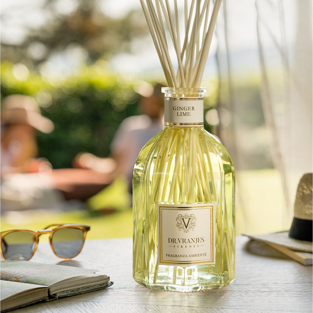 GINGER LIME〈ジンジャー・ライム〉500ml – MINIMAL WARDROBE