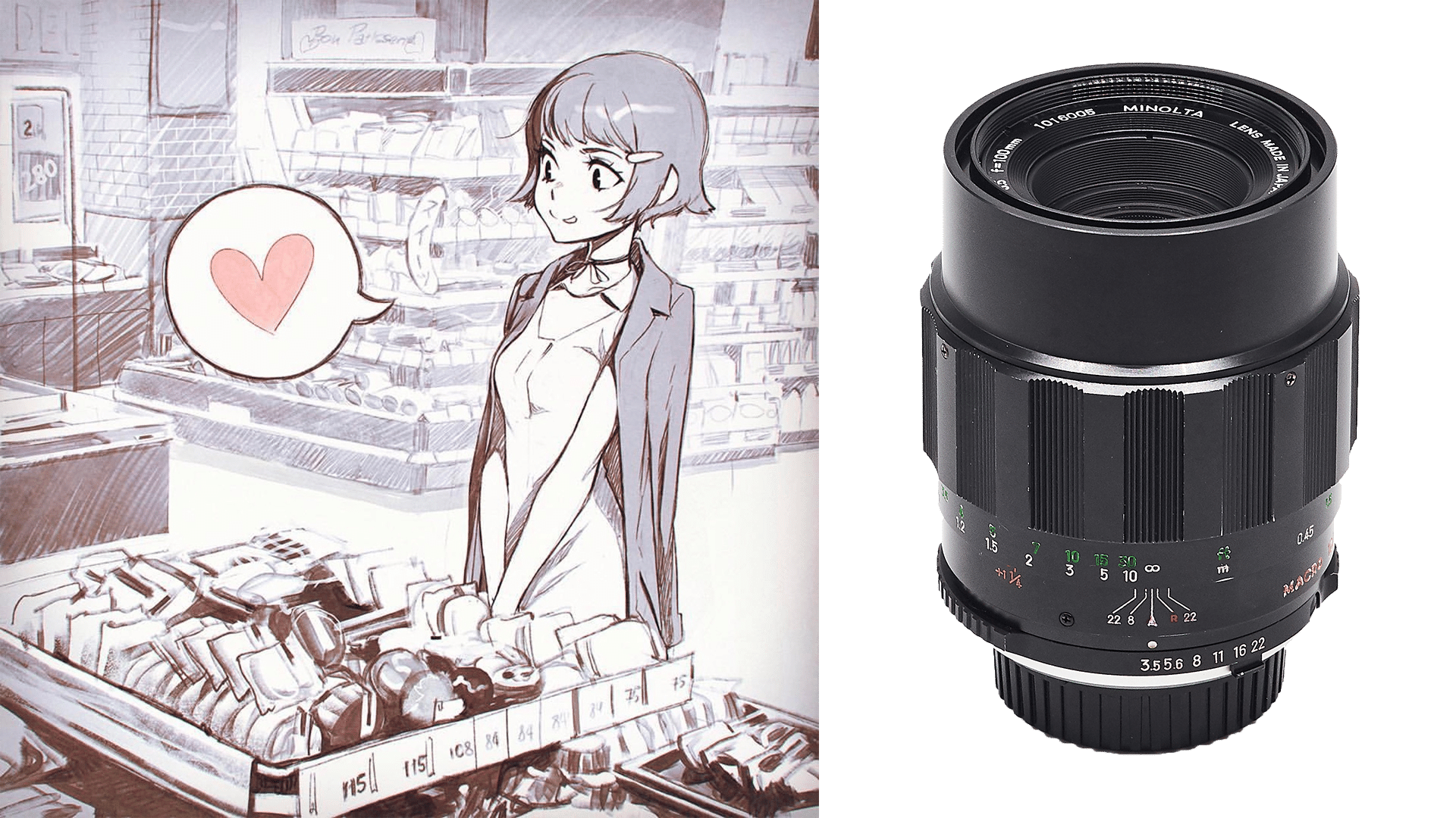 Minolta MC Rokkor QE 100mm 1:3.5 Macro tests and review - Lens QA