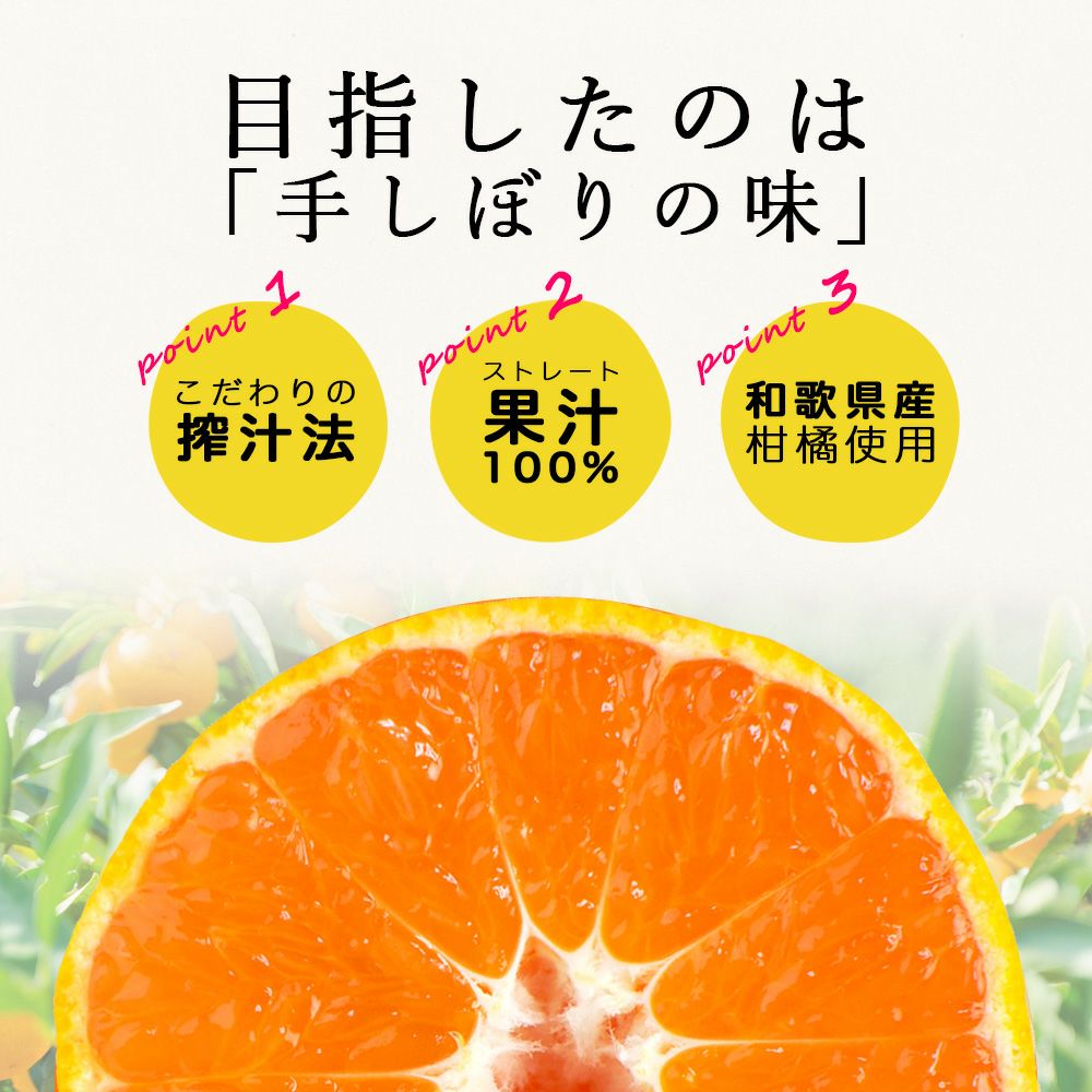 初回限定】【通常価格より804円引】お試しきくちゃんセット(みかん