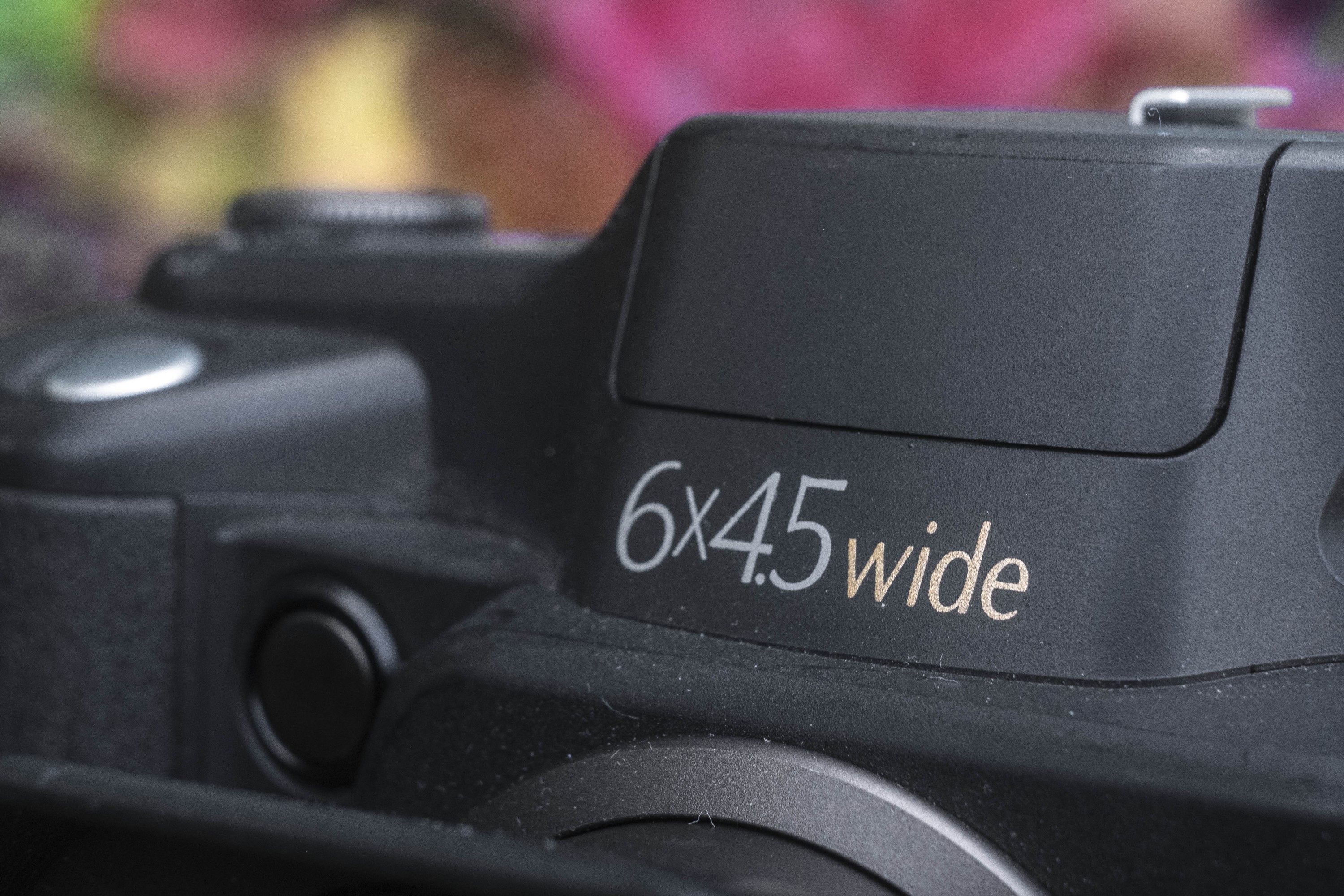 Fujifilm GA645Wi Professional (1997) - mike eckman dot com