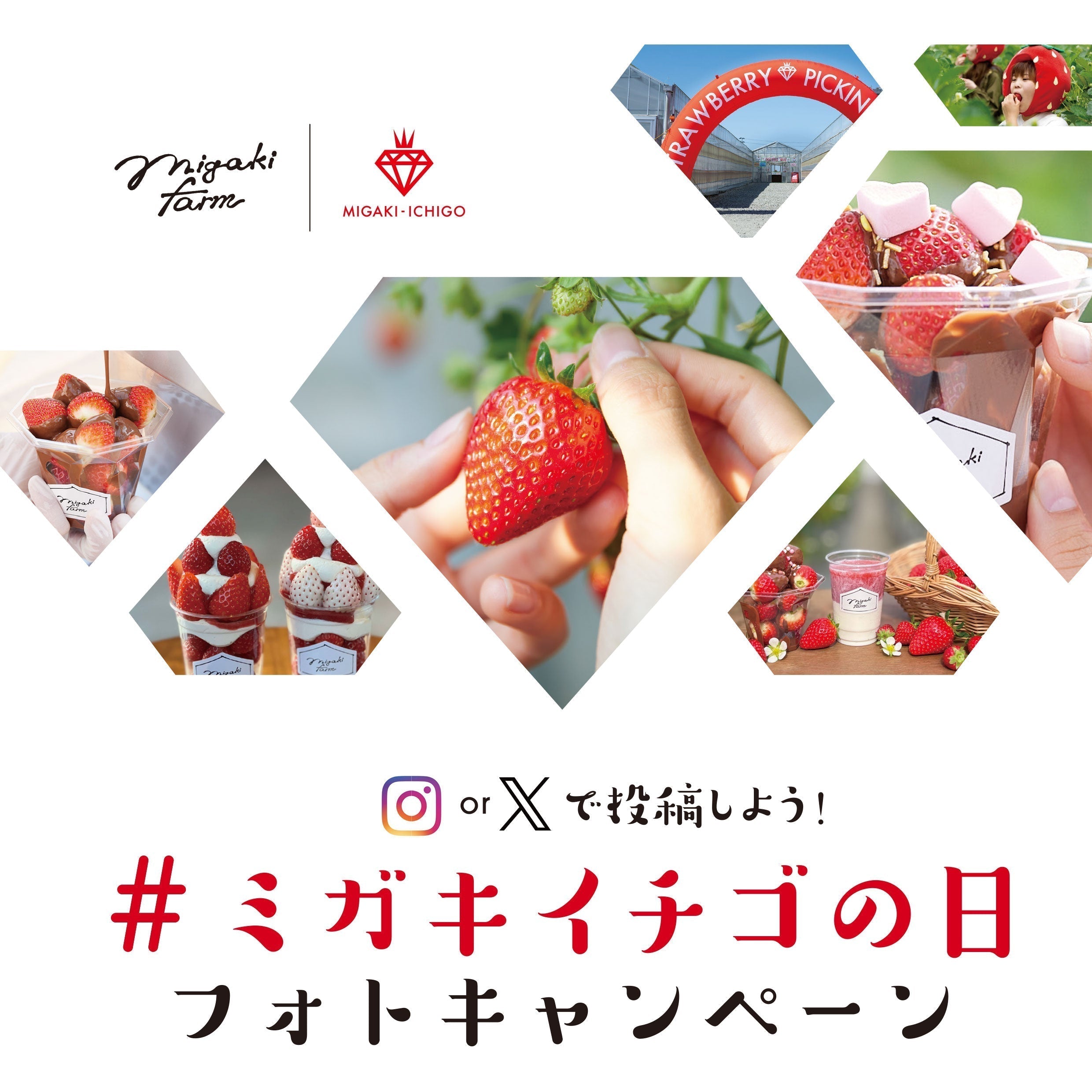 お知らせ】1月15日は「#ミガキイチゴの日2026」🍓 SNS投稿キャンペーン