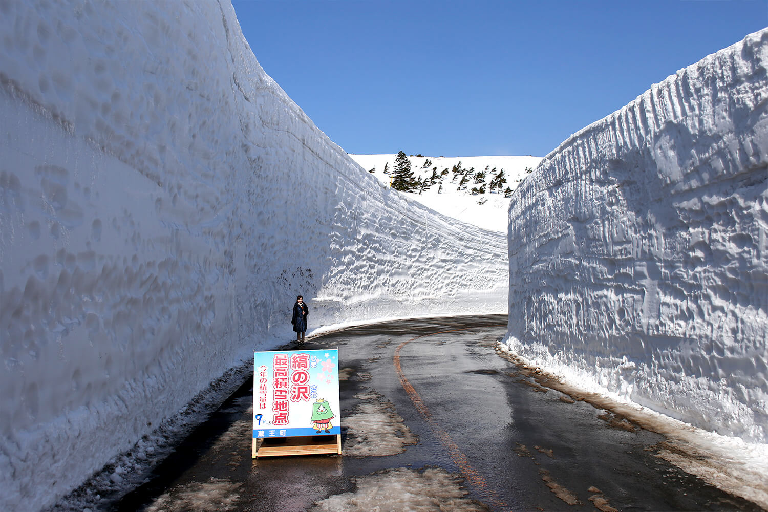 みやぎ蔵王観光navi