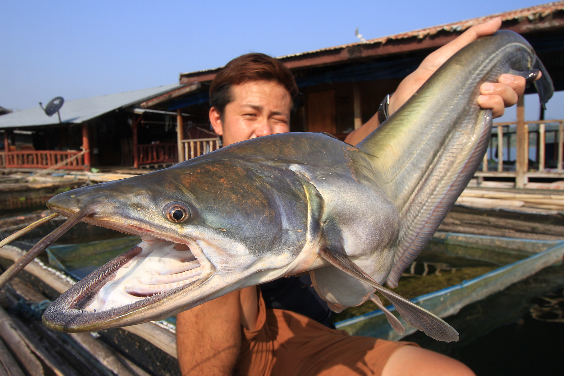 Dear Monster MX-6 - Monster Kiss モンスターキス