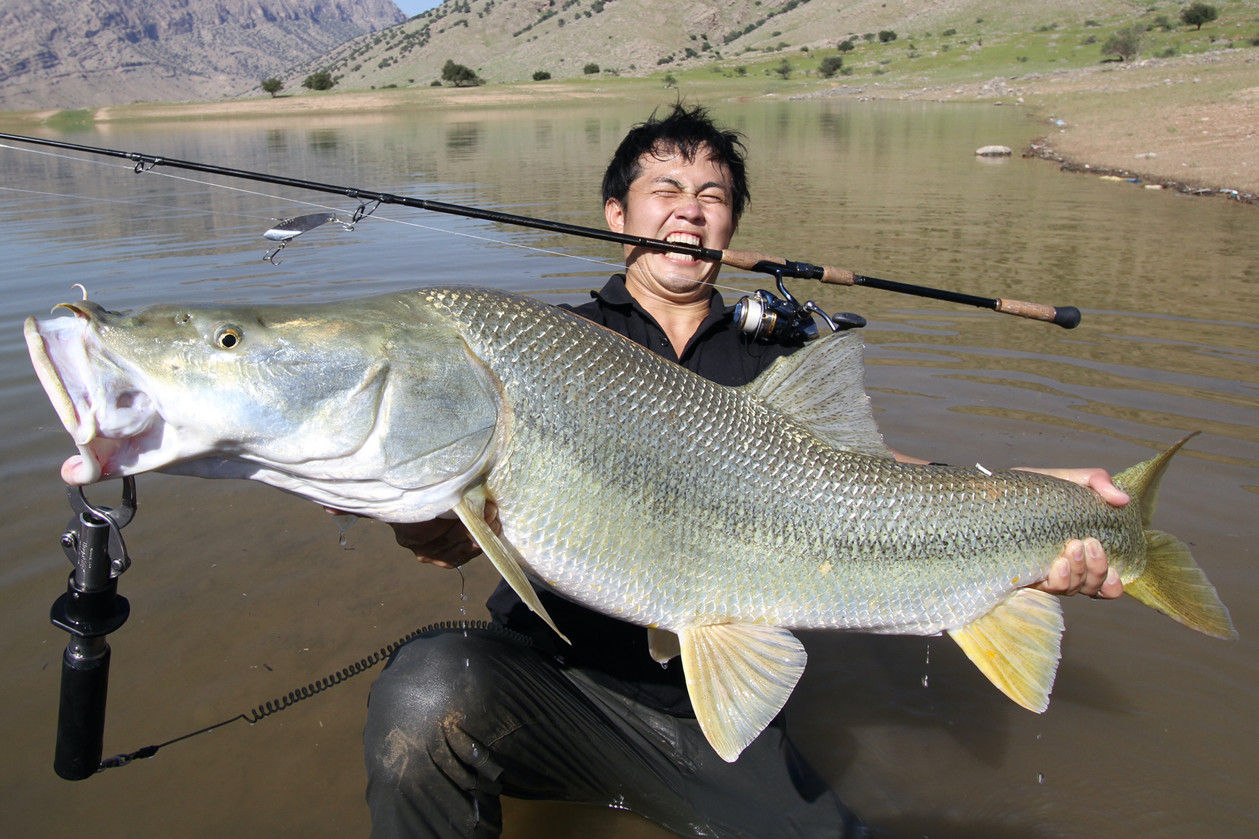 Dear Monster MX-7S - Monster Kiss モンスターキス