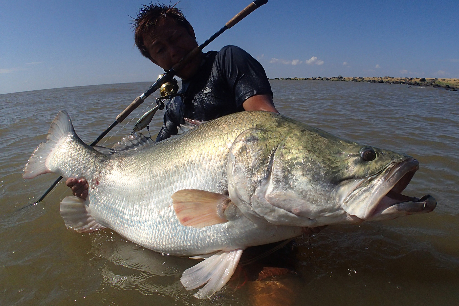 Dear Monster MX-∞ - Monster Kiss モンスターキス