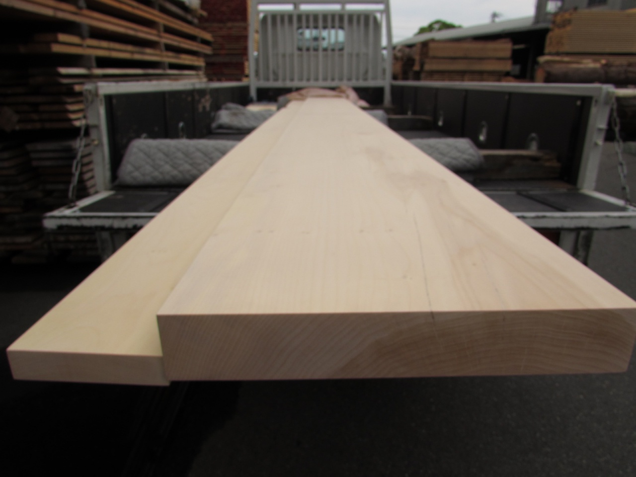 銀杏（イチョウ） 店舗用カウンター | 一枚板 お取り引き実績 | 一枚板