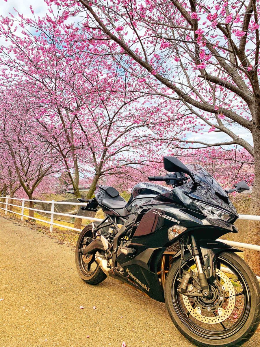 投稿詳細｜MOTOCLE