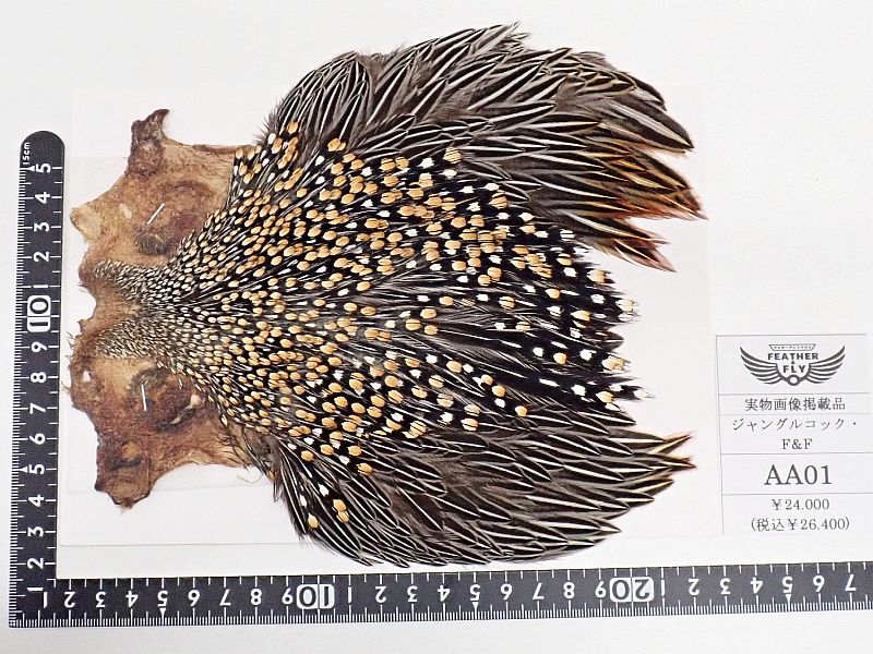 フライ マテリアル ハックル ジャングルコック 杜の家ブルック 通販