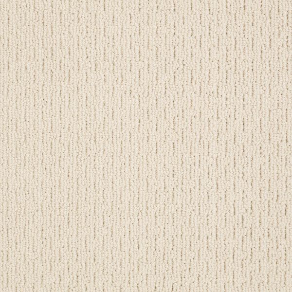 Shop Anderson Tuftex SFA City Charmer PATTERNED LOOP Dream Dust