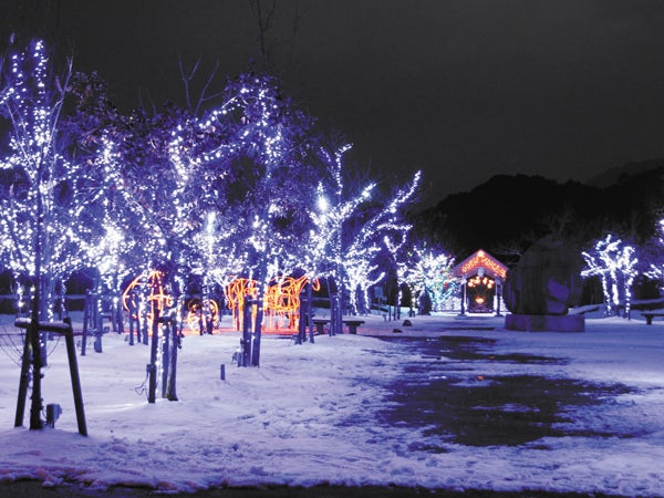 きらめく夜の世界！2023-2024愛媛のイルミネーション&ライトアップ