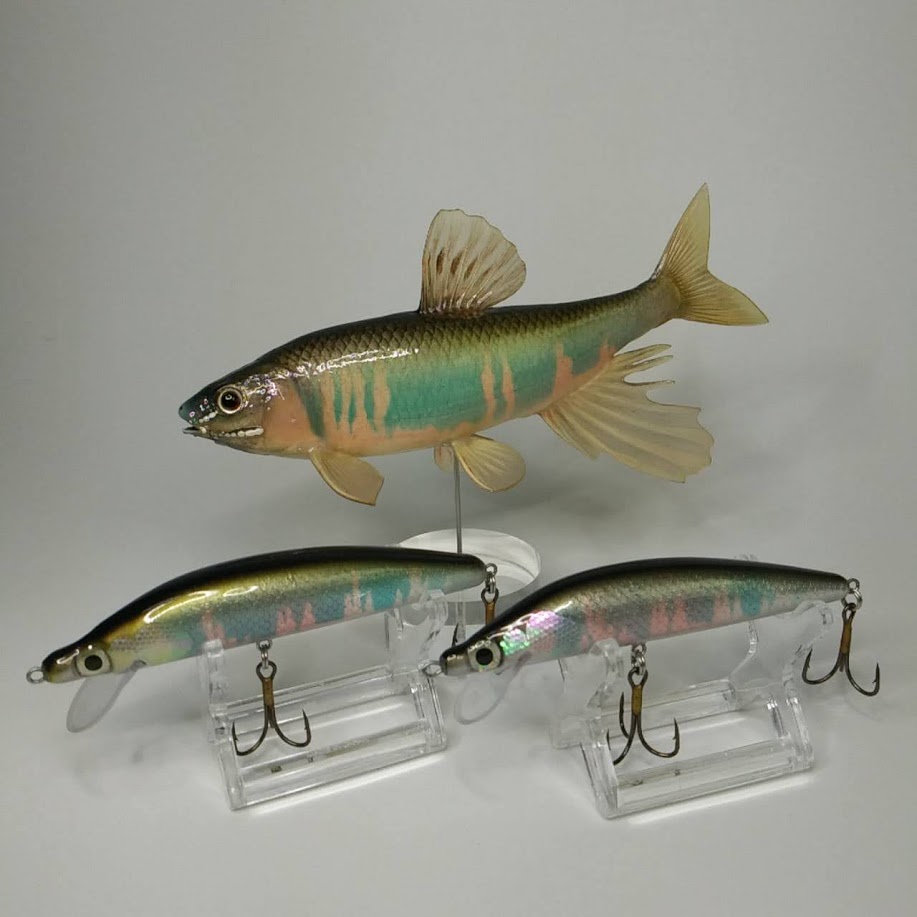 感動保存工房むらせ/ムラセミノー