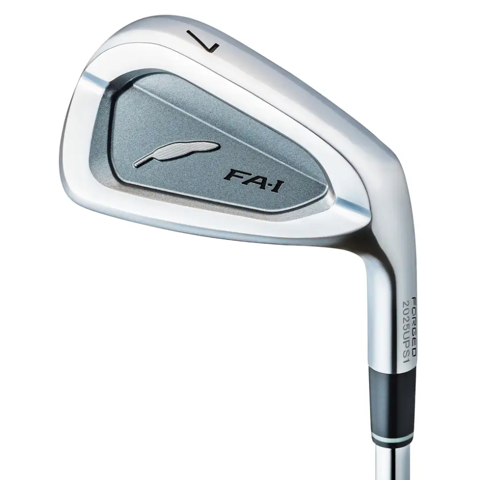 フォーティーン C-036 FORGED AW SW 2本 やさしい 名器 フォーティーン