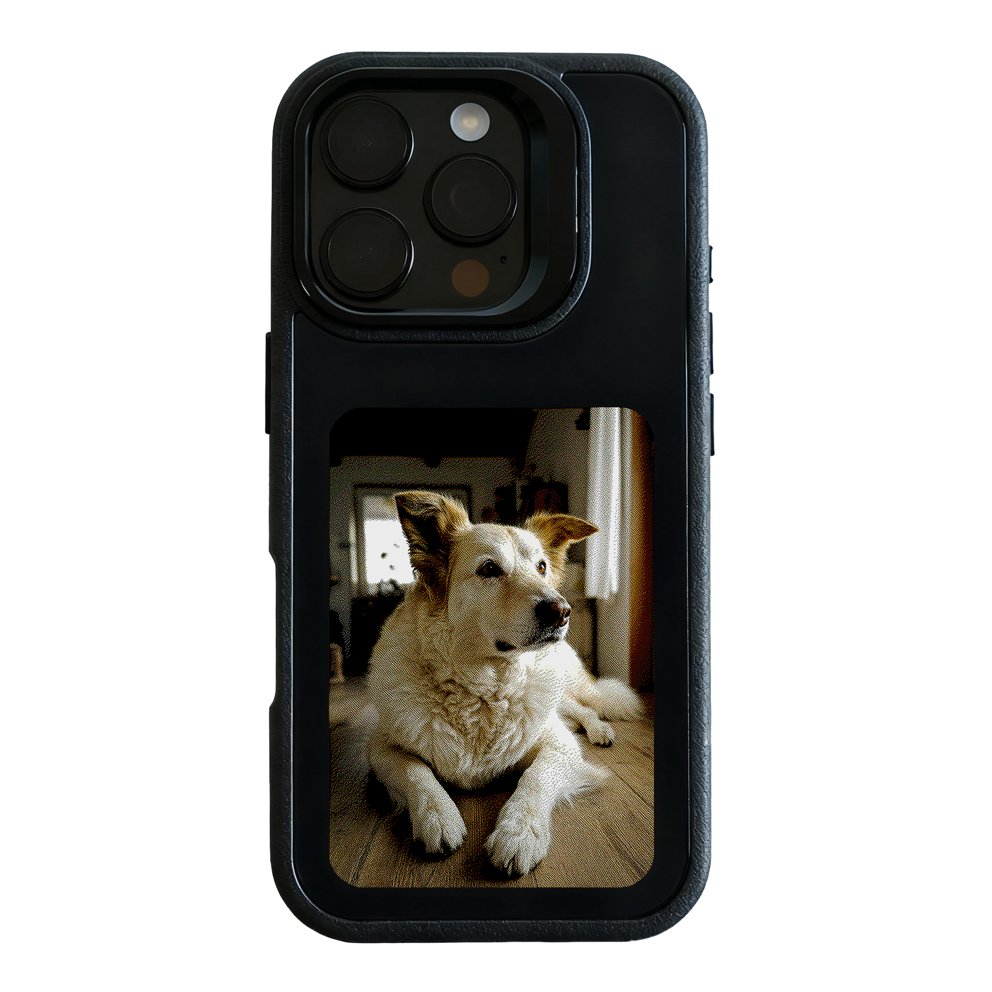 2_951e1024-b7e8-42e2-82cf-