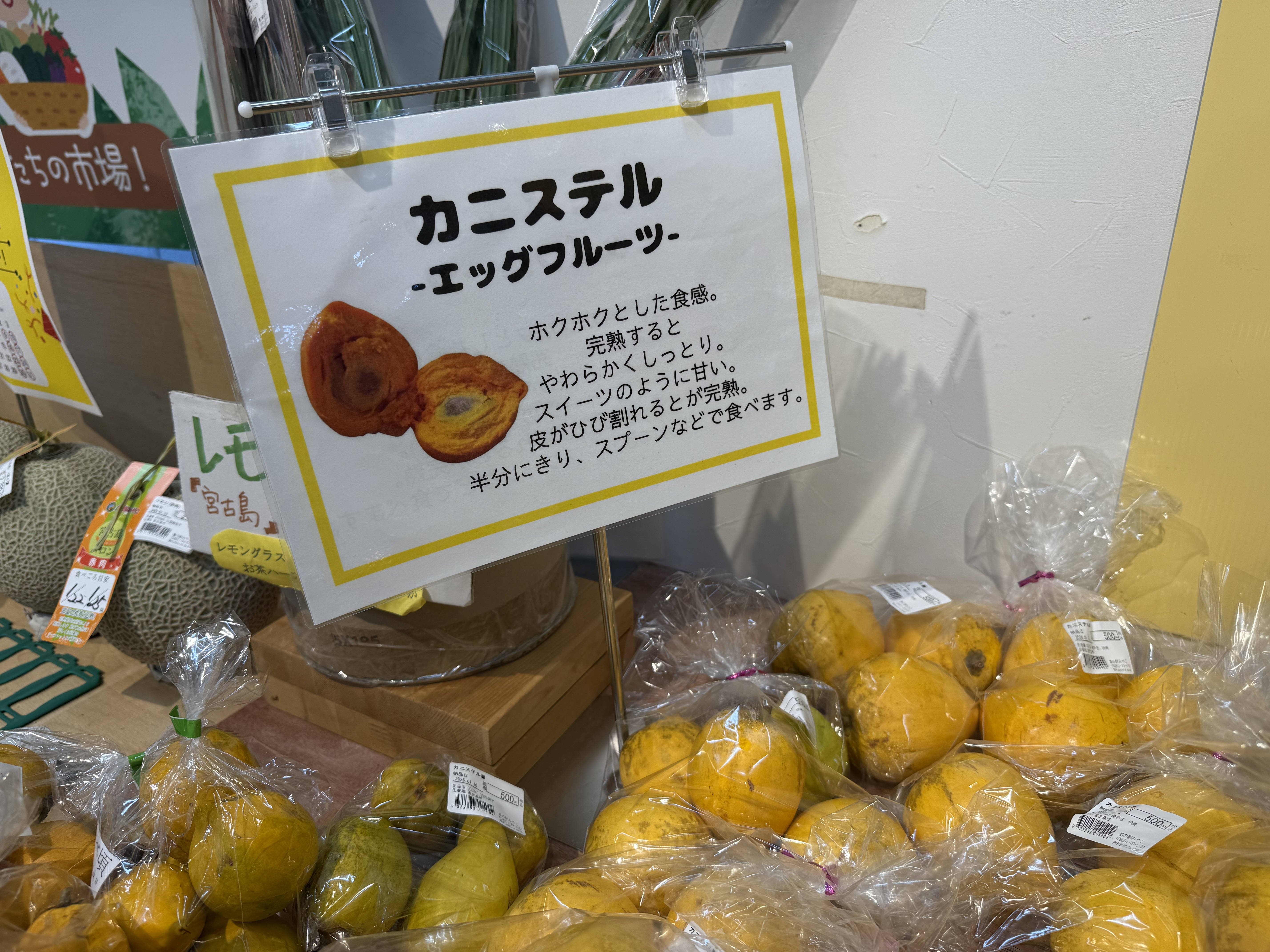 宮古島産カニステルの魅力 | みゃーくずみ