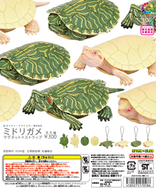 ミドリガメ マグネット×ストラップ – ネイチャーテクニカラー公式