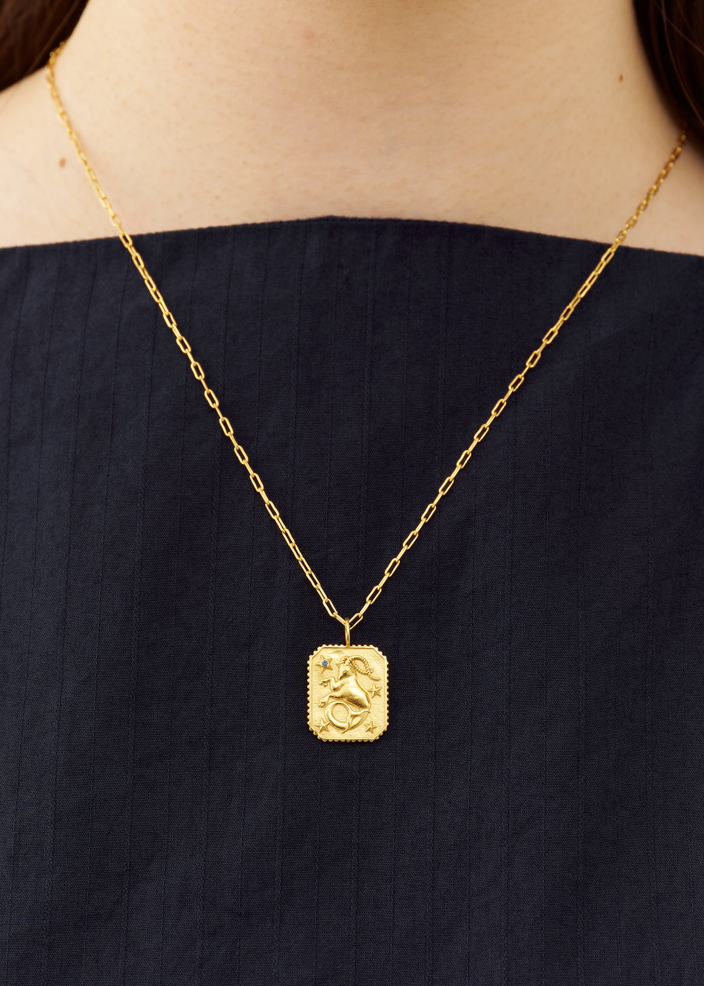 Astro Sign Plate Necklace CAPRICORN - 山羊座 - | Pasand by ne