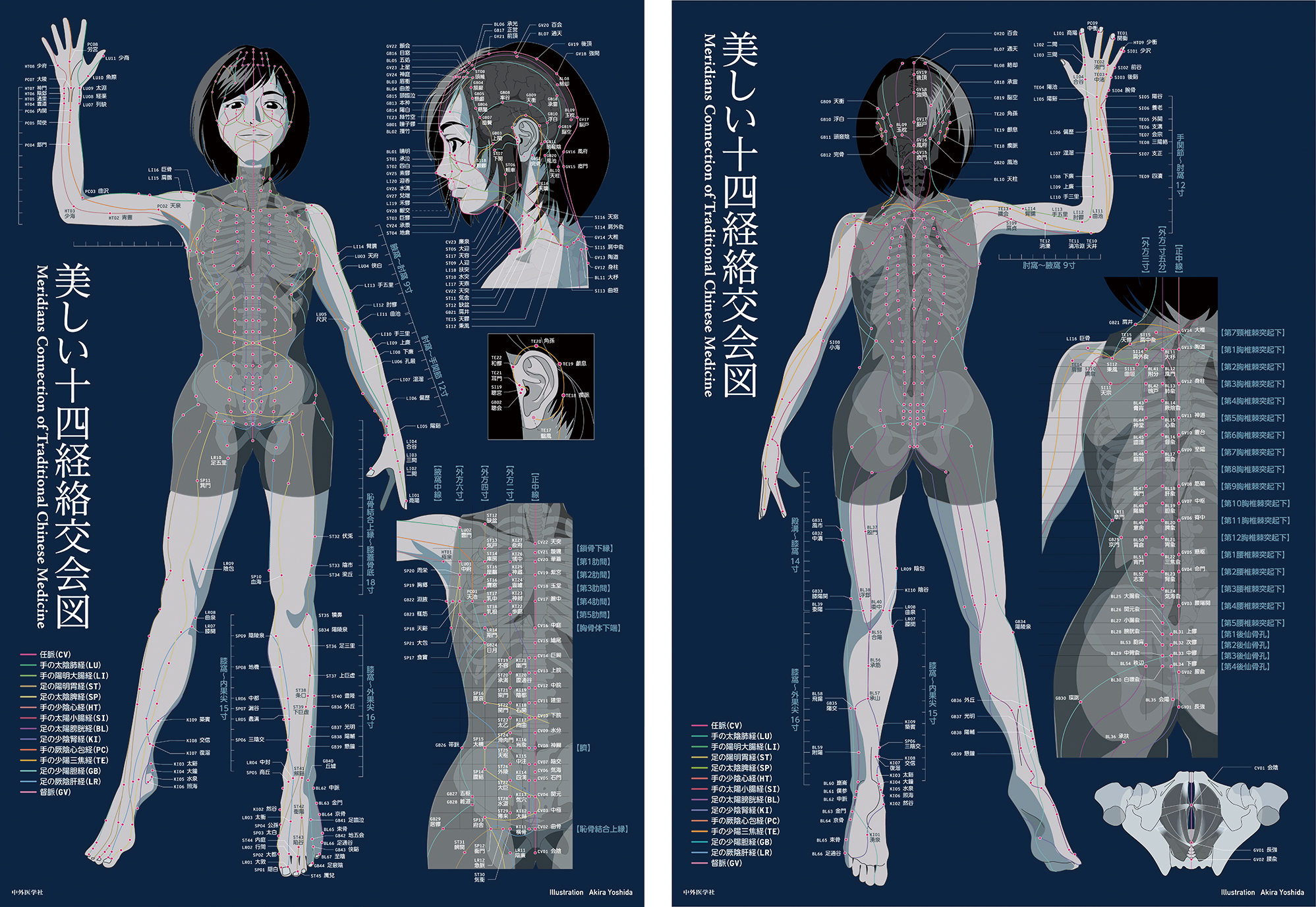 ツボが分かる！シックな経絡ポスター発売