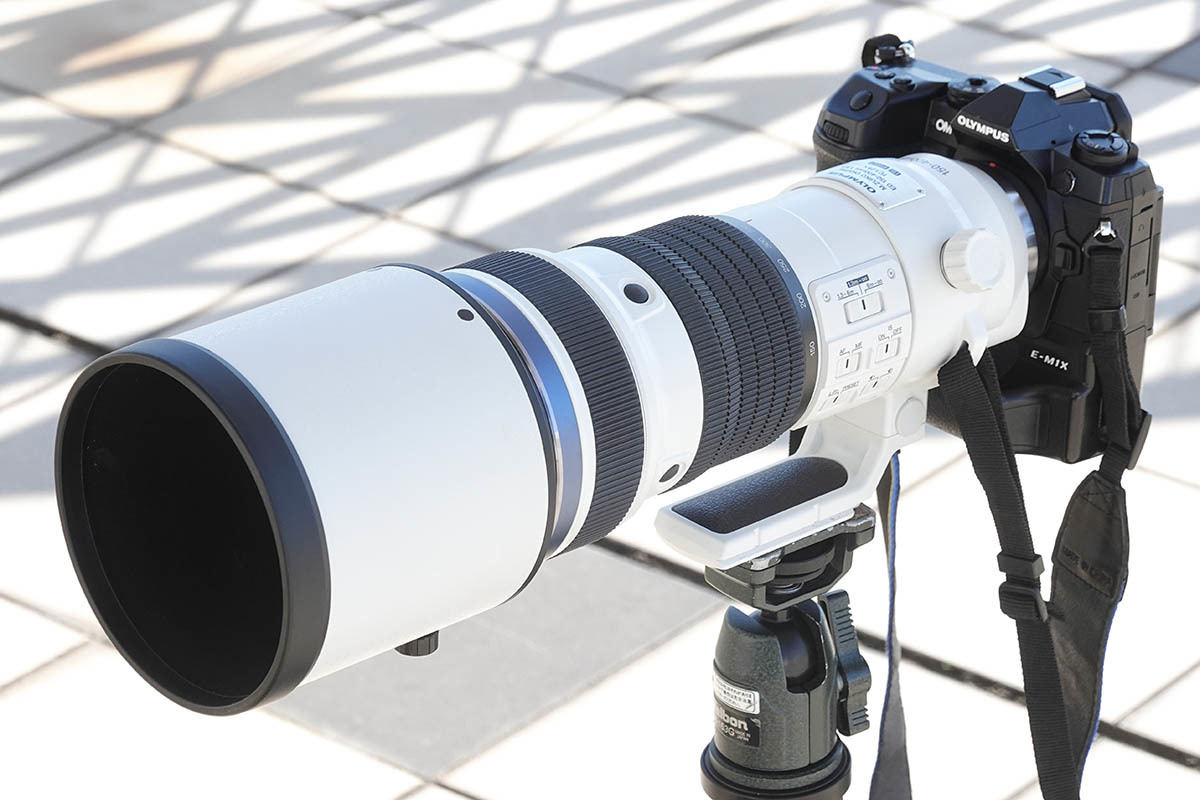 オリンパス「150-400mm F4.5」＋「E-M1X」レビュー 鳥肌モノの鳥認識AF