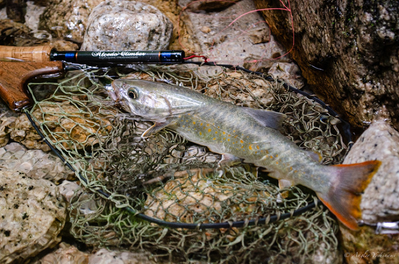 シンプリー｜ニュース（総合ブログ） ｜Casket カスケット