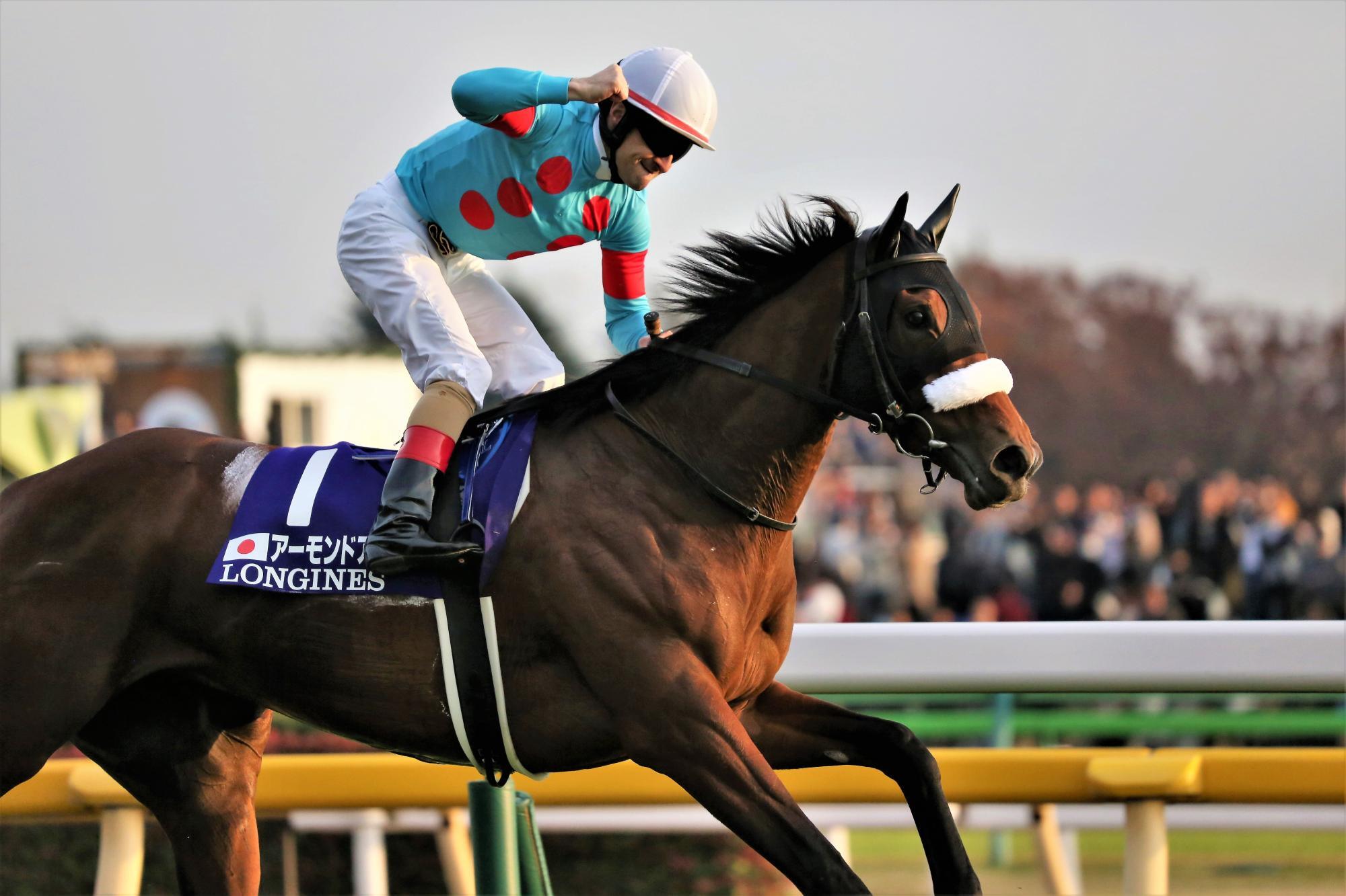 夢の配合 アーモンドアイ×イクイノックス 15冠41億婚へ 超有名馬同士の