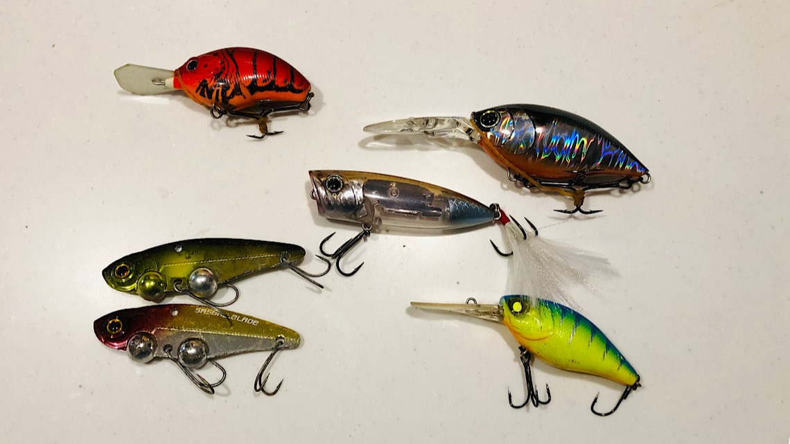 本当は秘密にしたい｜海でも活躍するブラックバス用ルアー3選（タビ