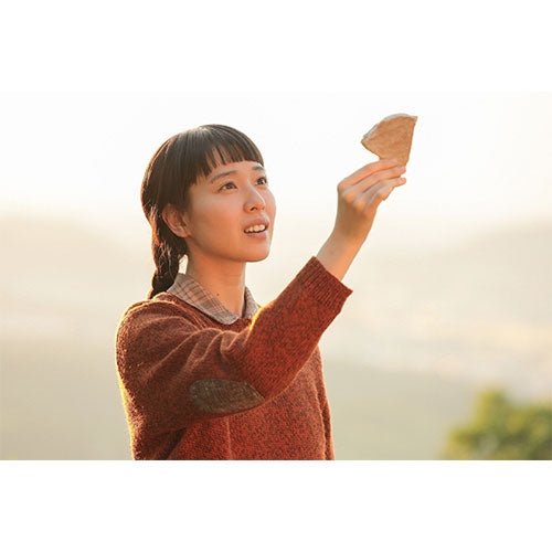 連続テレビ小説 スカーレット 完全版 DVD-BOX1 全3枚 -NHKグループ公式