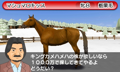 Derby Stallion Gold screenshots