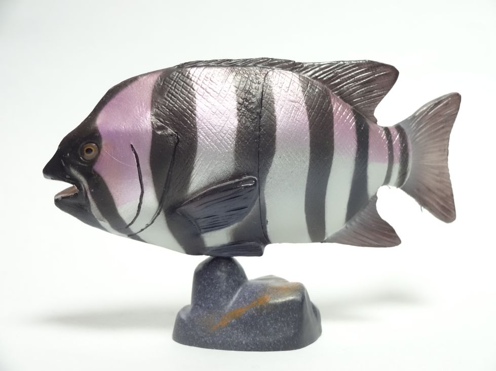 わがままな天然列島大海原の群雄