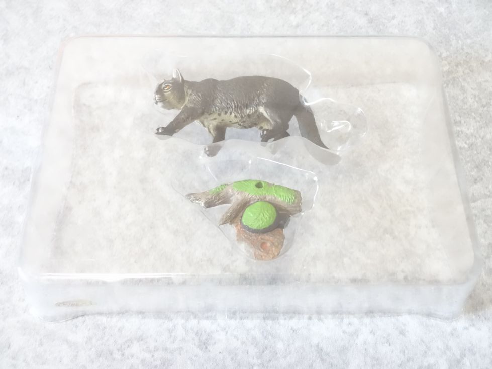 週刊日本の天然記念物動物編