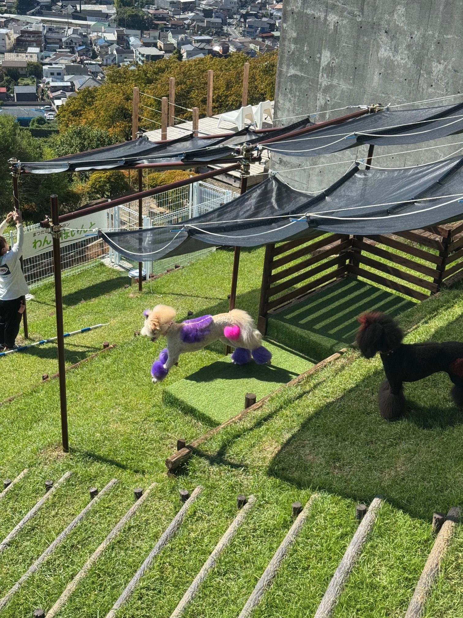 ドッグラン】9月20日、オープンしました！ | 西平畑公園 公式ホームページ