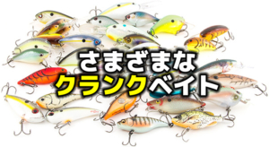 さまざまなバス用クランクベイト | バス釣りを学ぼう！野尻湖釣具店ブログ