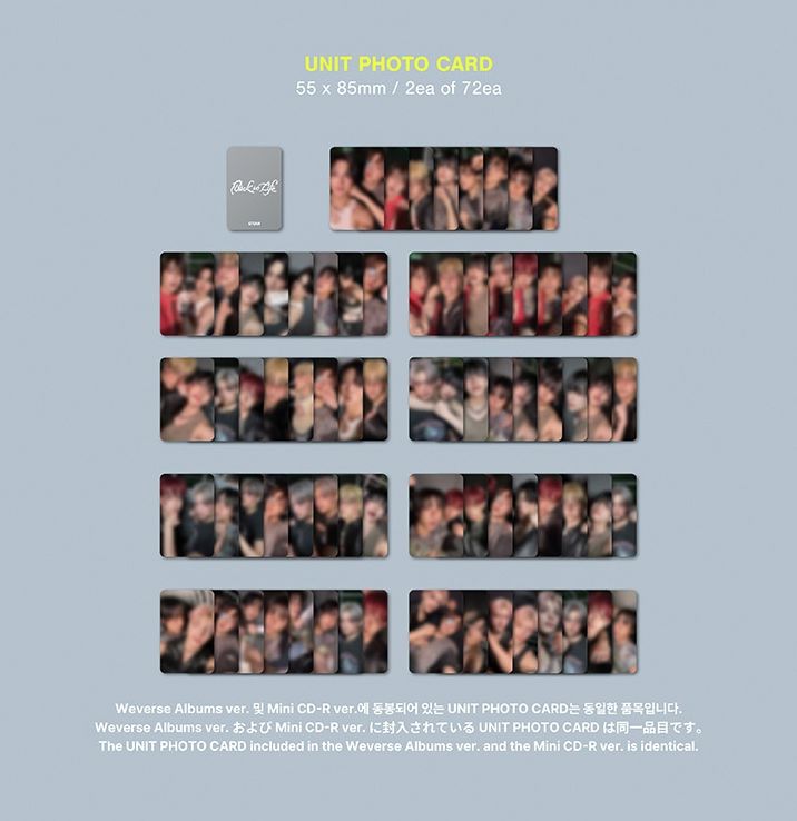 &TEAM - BACK TO LIFE (1ST KOREAN MINI ALBUM) (PHOTOCARD BOX) (WEVERSE