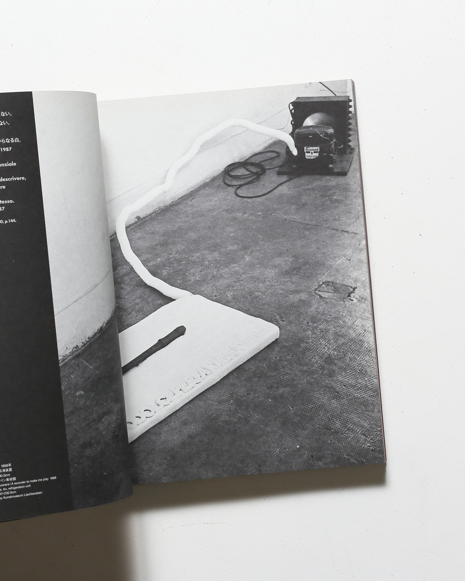 アルテ・ポーヴェラ 貧しい芸術 | 豊田市美術館 | nostos books ノスト