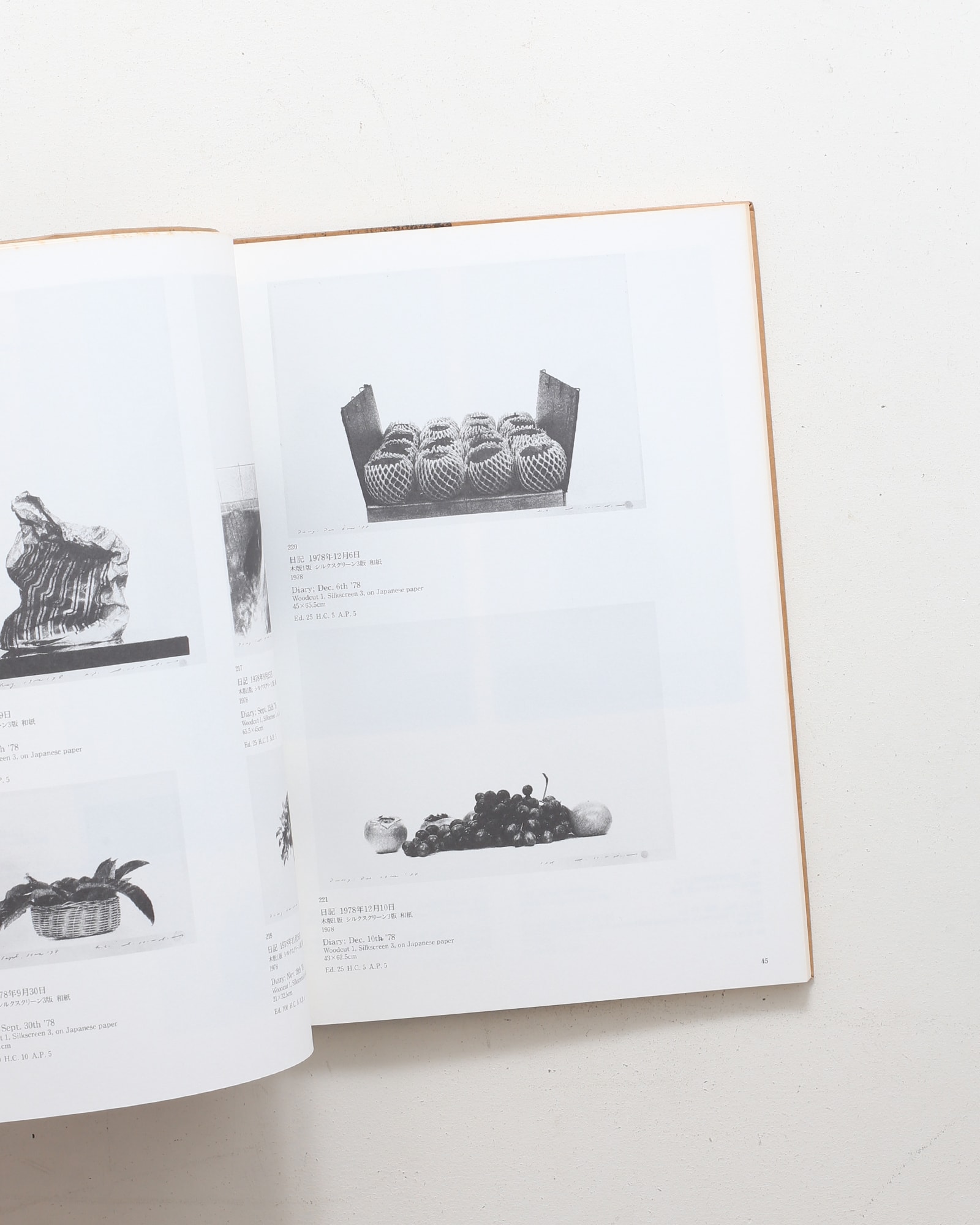 野田哲也全作品 2 1978-1992 | nostos books ノストスブックス