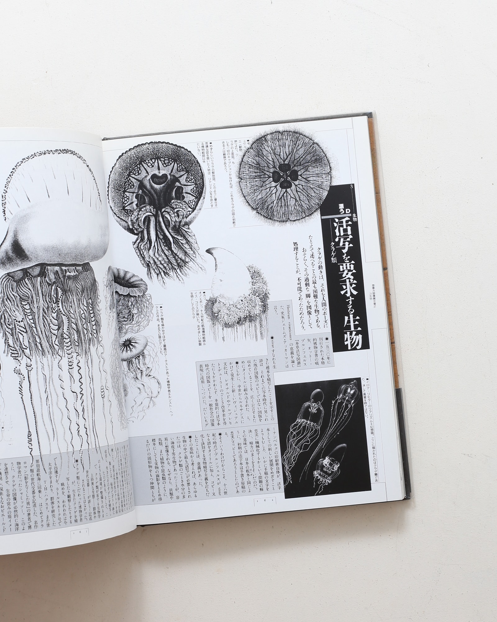 想像力博物館 | 荒俣宏 | nostos books ノストスブックス