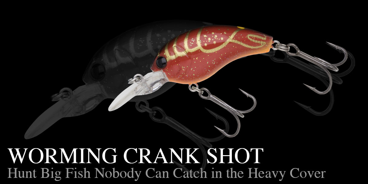 WORMING CRANK SHOT | BASS | NORIES