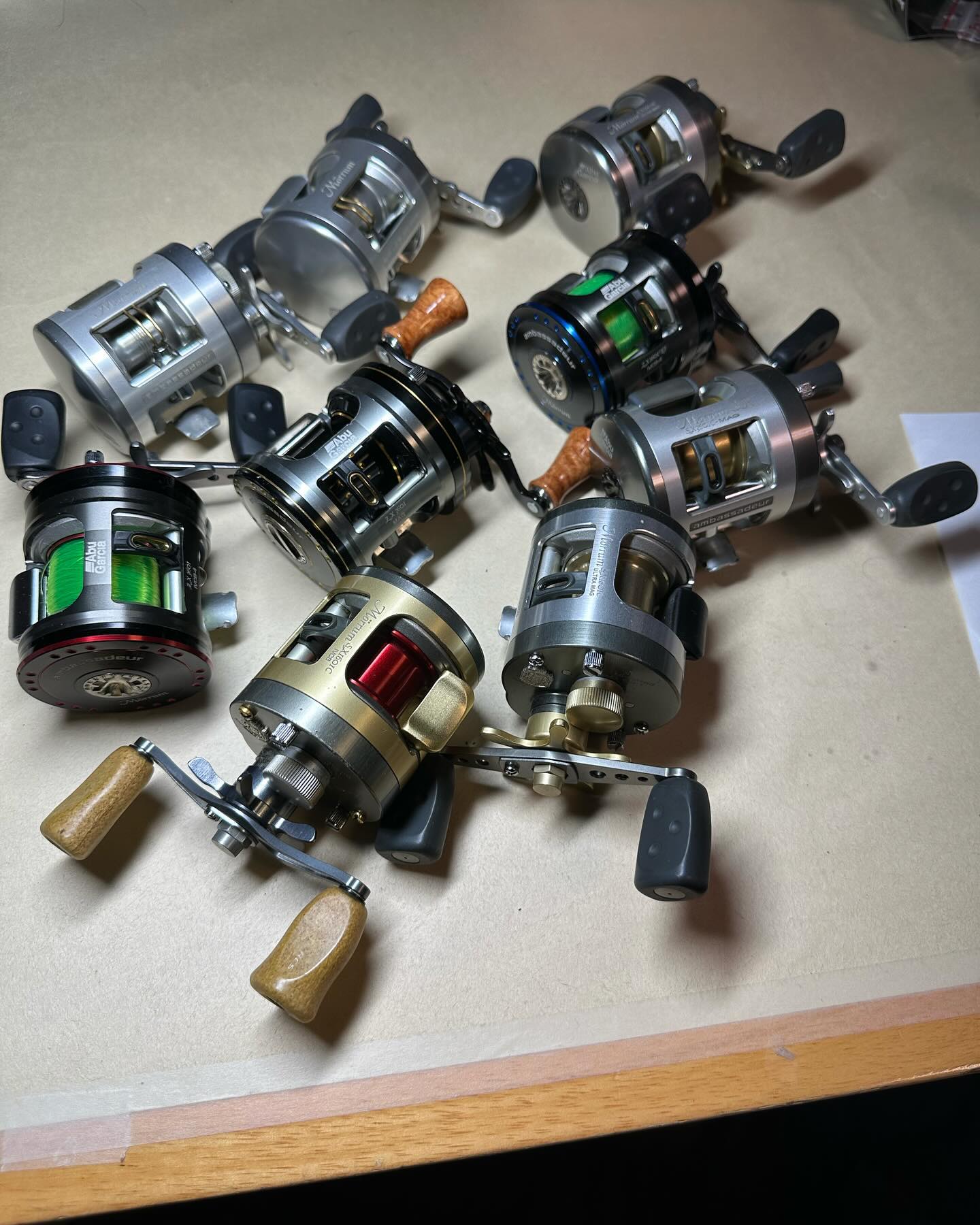 アンバサダー モラム】 | ノリクラインターナショナル トラウト